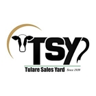 Click to go to TSY