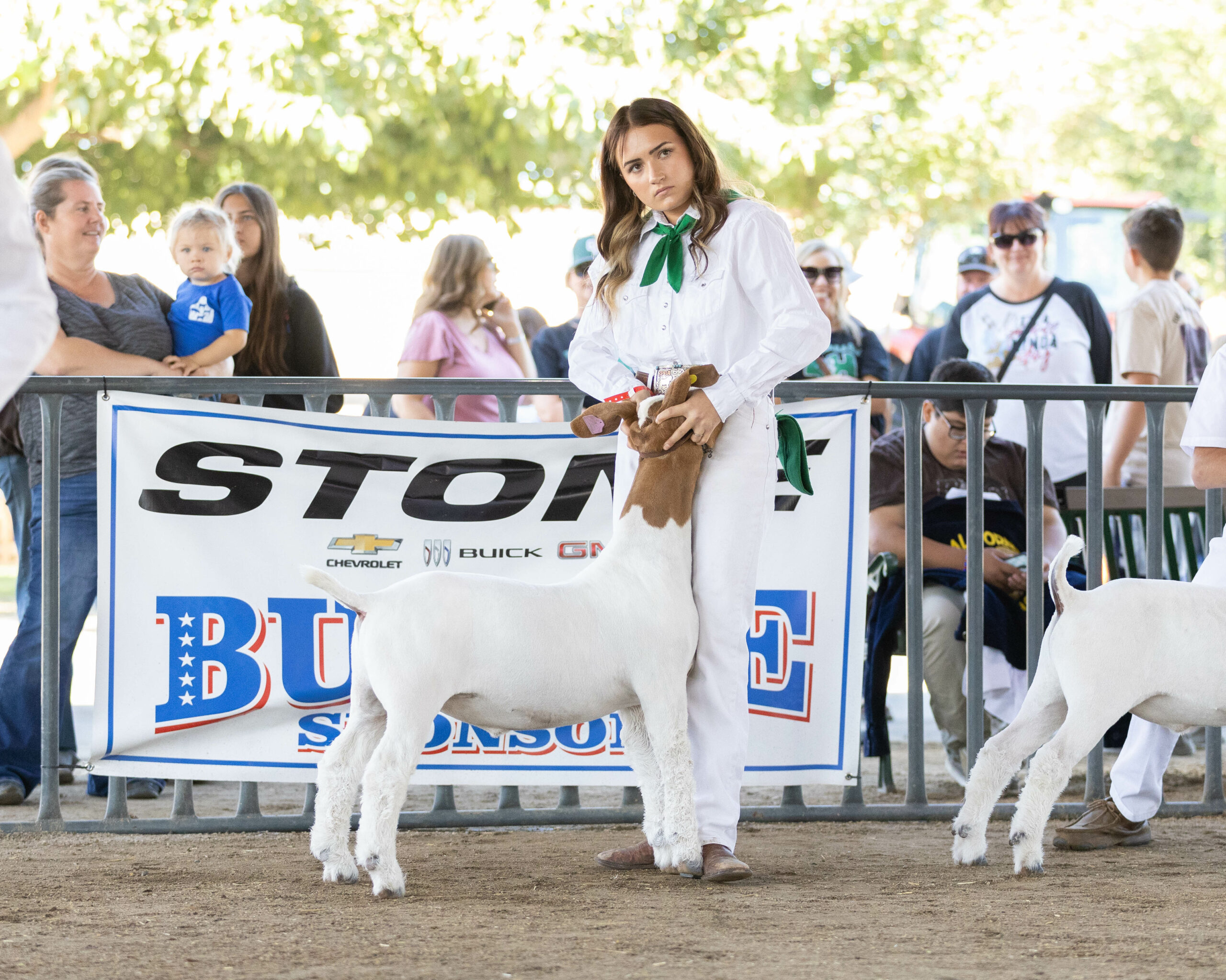 Market Goat Show, West Showring