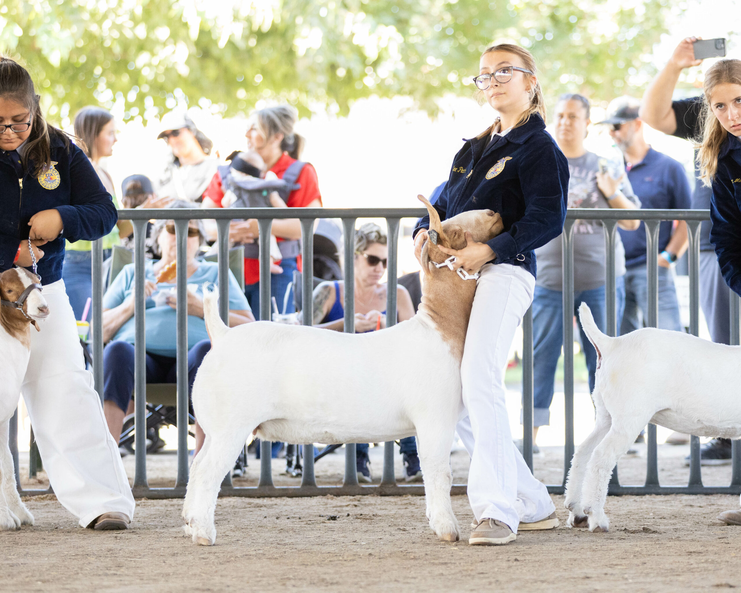 Boer Goat Showmanship, followed by Sheep Showmanship, East Showring
