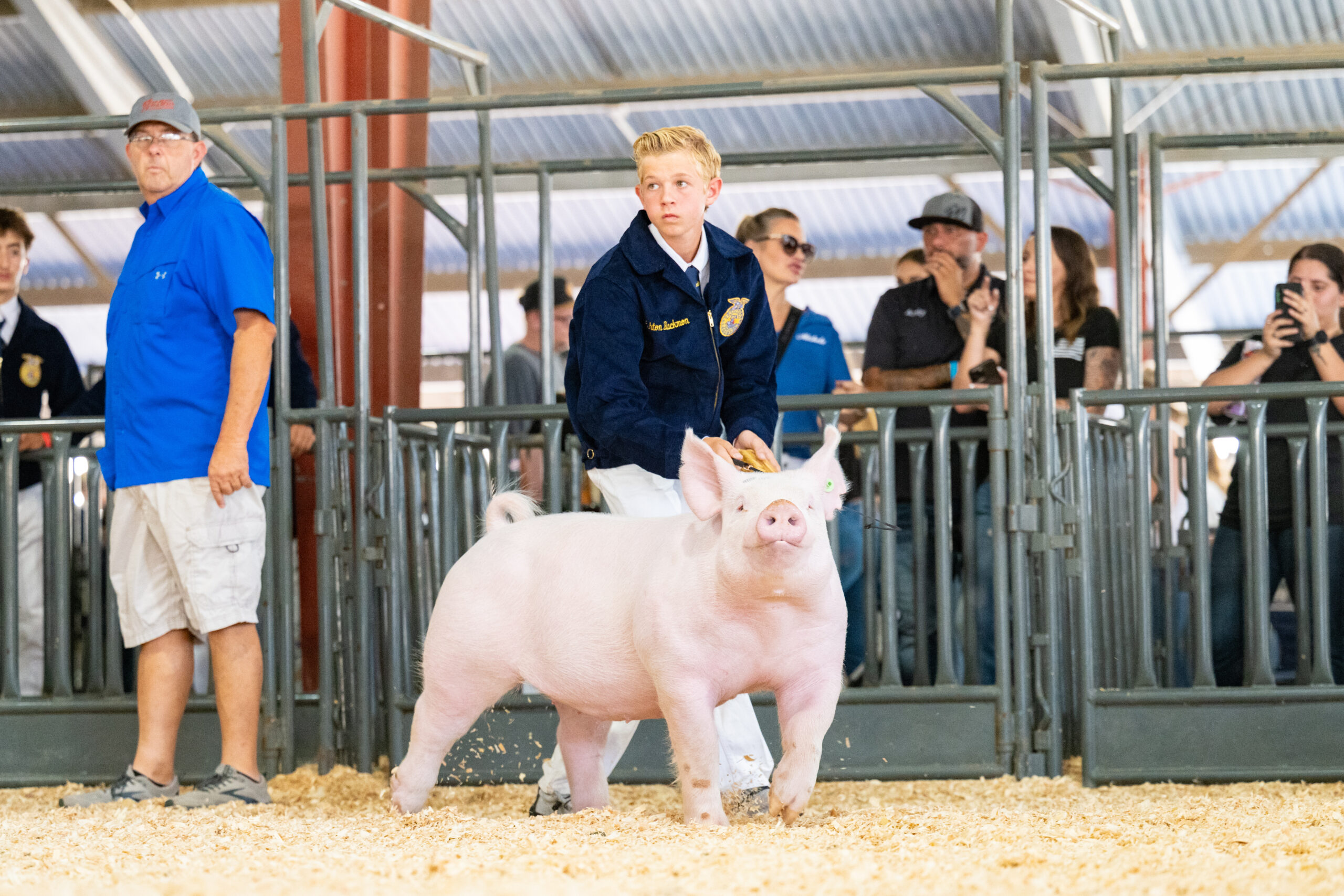 Hog Showmanship (Peewee, followed by 4-H, followed by FFA),West Showring