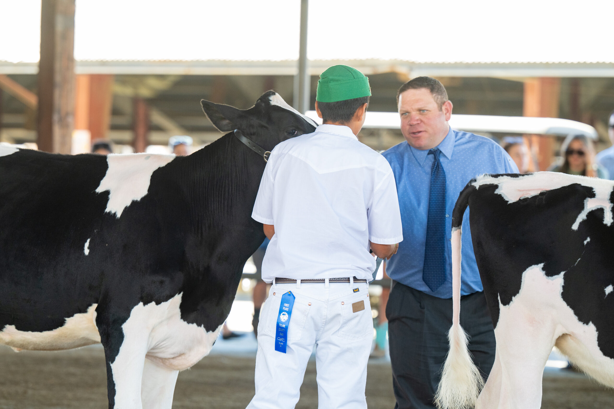 Dairy Cattle Showmanship, East Showring