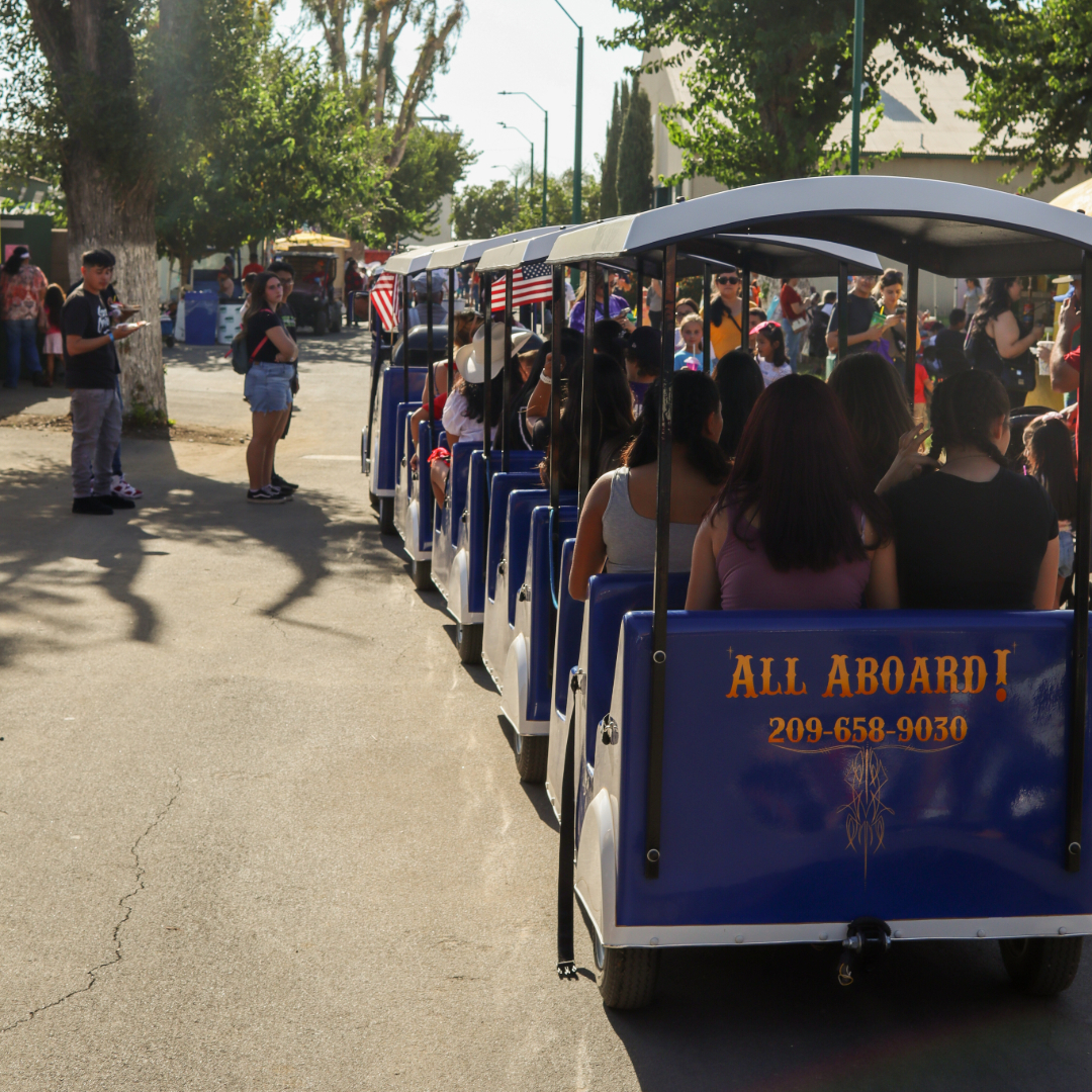 All Aboard! Train Tours