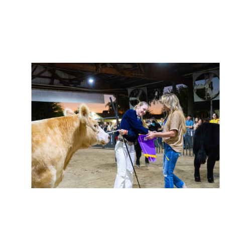 Supreme Champion Drive – West Showring