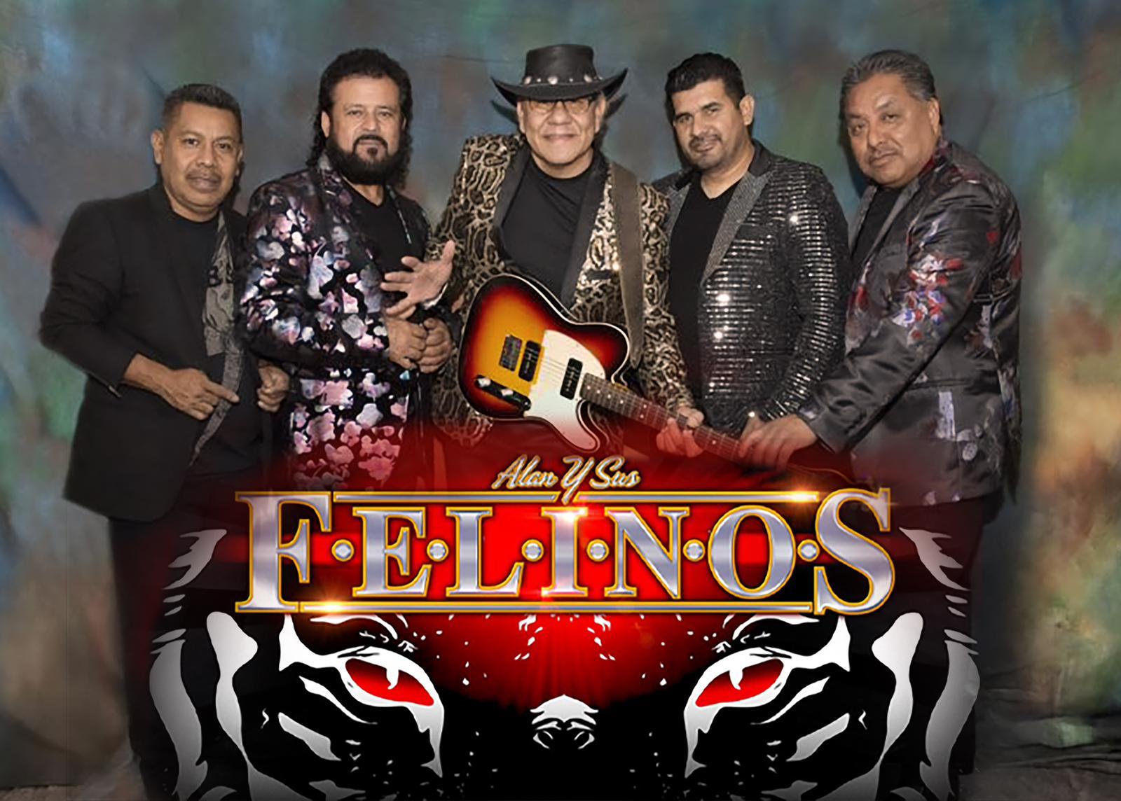 Los Felinos